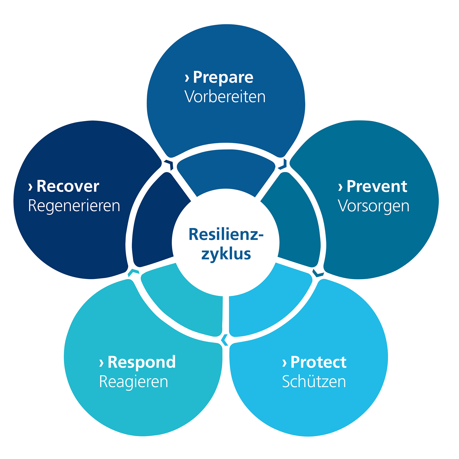 An emergency event is divided into five stages in the resilience cycle.