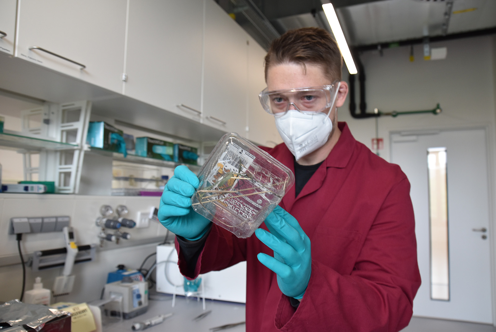 Tim Lüddecke prepares spiders for venom analysis in the laboratory.