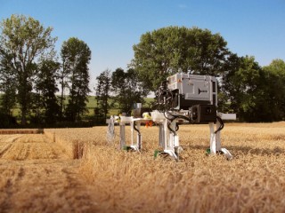 Der Feldroboter DeBiFix untersucht ganze Weizenfelder auf den Wachstumsverlauf der Körner in den Ähren. Auf dieser Grundlage kann entschieden werden, welche Sorten sich besonders gut für die Züchtung eignen.