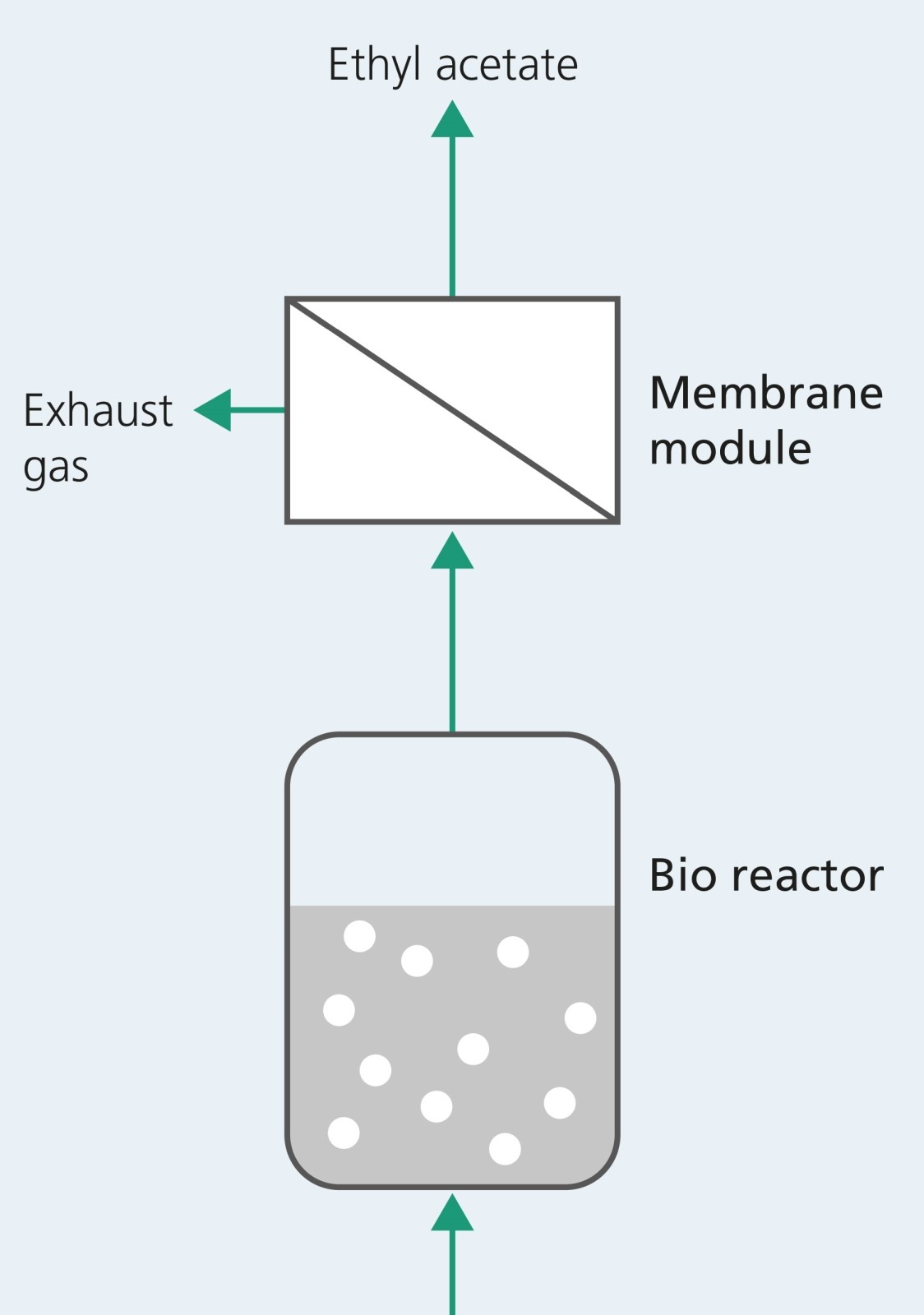 After the molasses are fermented in the bioreactor, the resulting gas-vapor mixture is passed through a mem-brane module and the valuable ethyl acetate is separated.