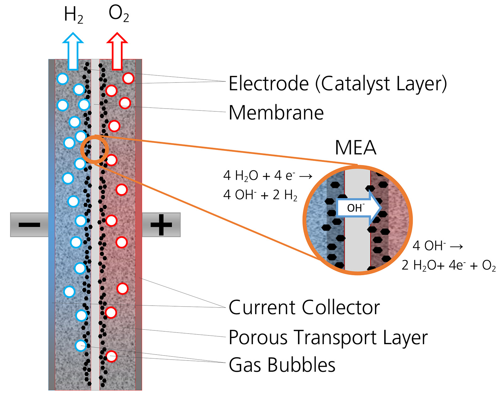 Large quantities of hydrogen will be needed to ensure a successful energy transition. As part of the HighHy project, an international team of researchers from Germany and New Zealand is working on improving the efficiency of the emerging AEM electrolysis technology to produce green hydrogen. To make this possible, scientists from the Fraunhofer Institute for Manufacturing Technology and Advanced Materials IFAM in Dresden have turned to the readily available and resource-saving metals manganese and nickel in a bid to introduce this promising electrolysis process to large-scale industry. The new technology offers a number of other advantages in addition to reduced costs when compared to the existing processes.