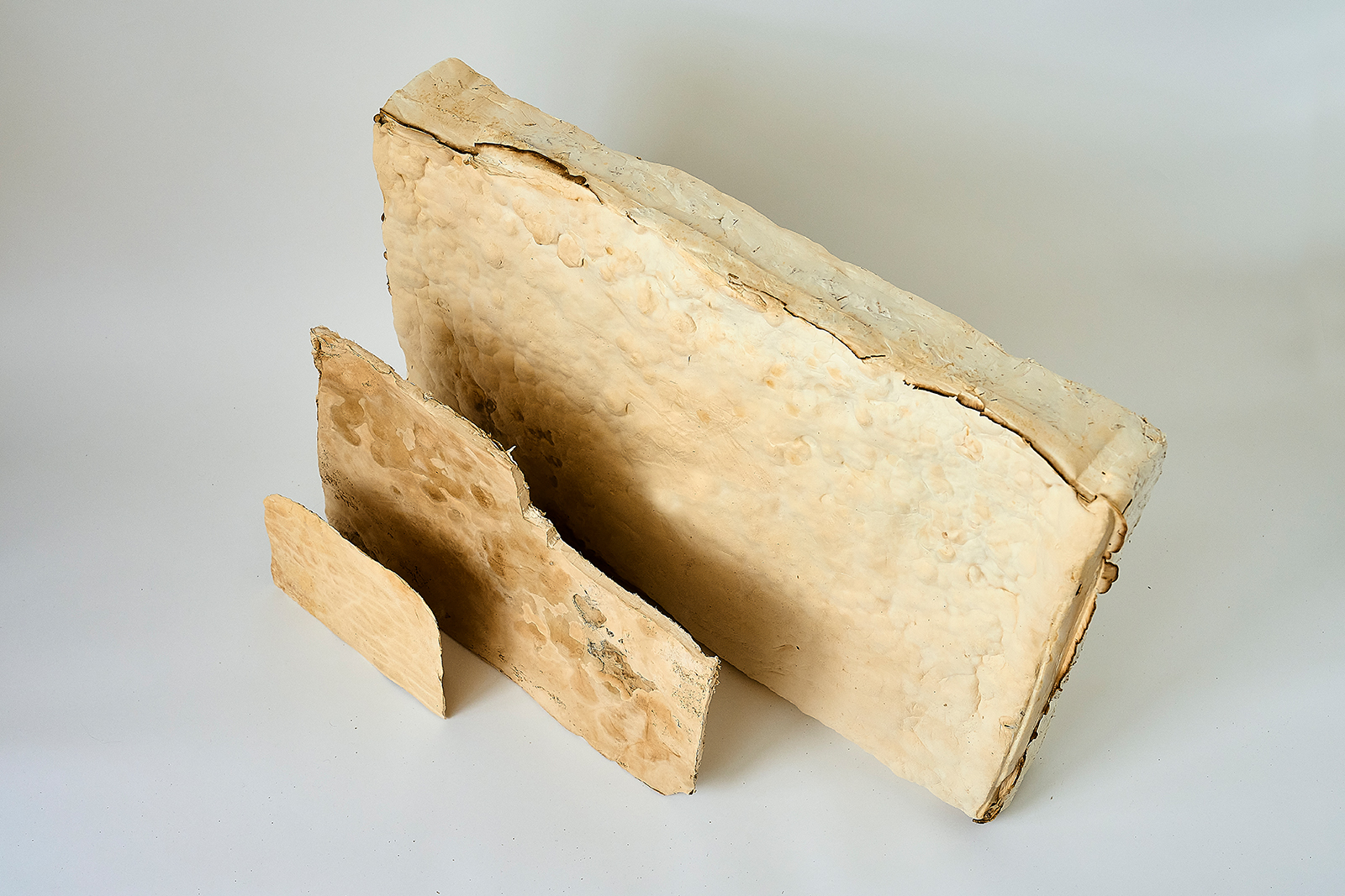 Flexible Myzelmaterialien in unterschiedlicher Dicke können als Polstermaterial, Dämmplatte oder Lederalternative verwendet werden.