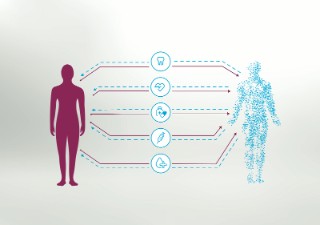 A digital patient twin can simulate physiological processes taking place inside the human body.