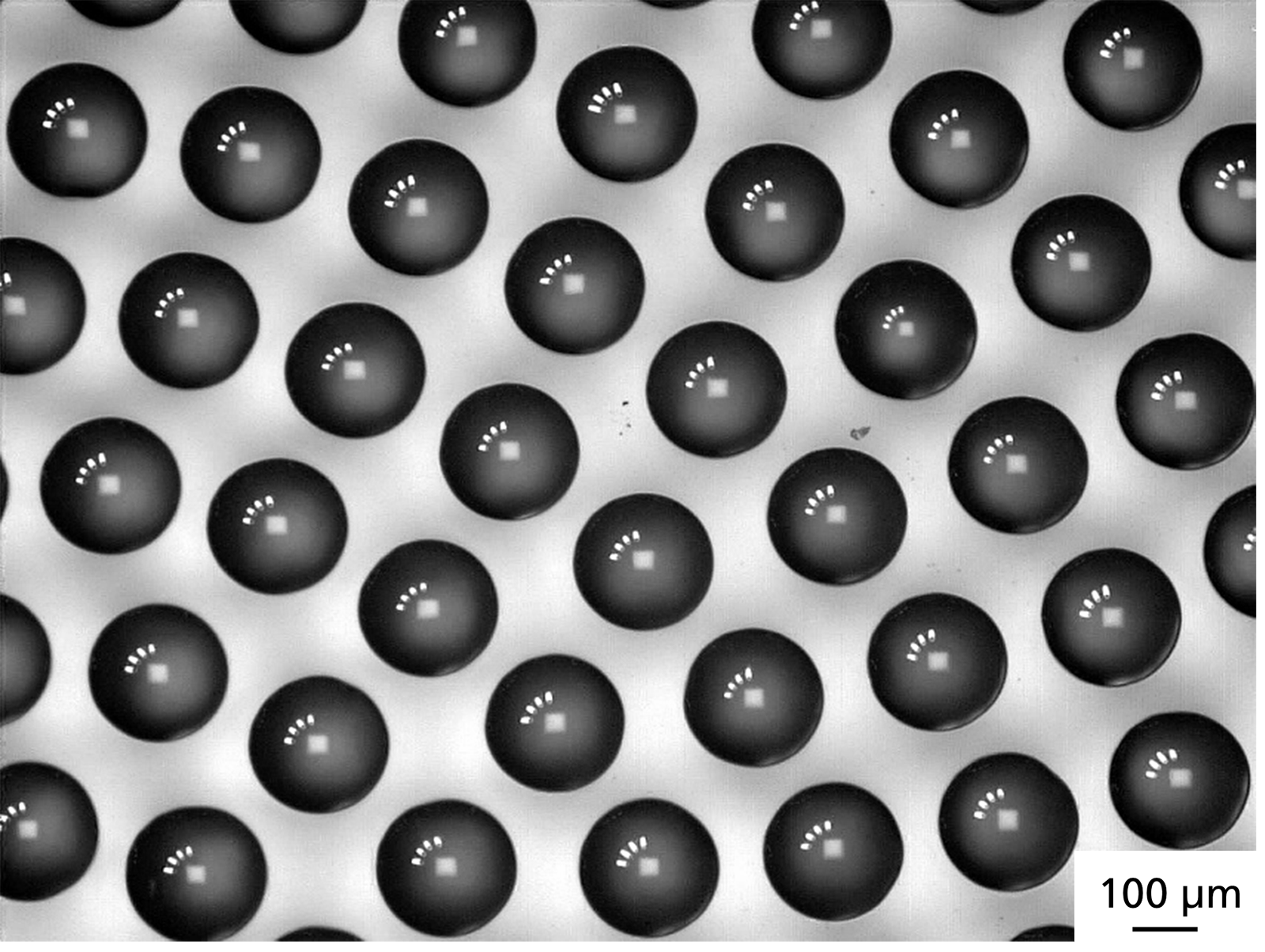 Mit dem Laser Swelling-Verfahren lassen sich Mikrolinsen herstellen und flexibel auf einem Brillenglaspolymer anordnen. 