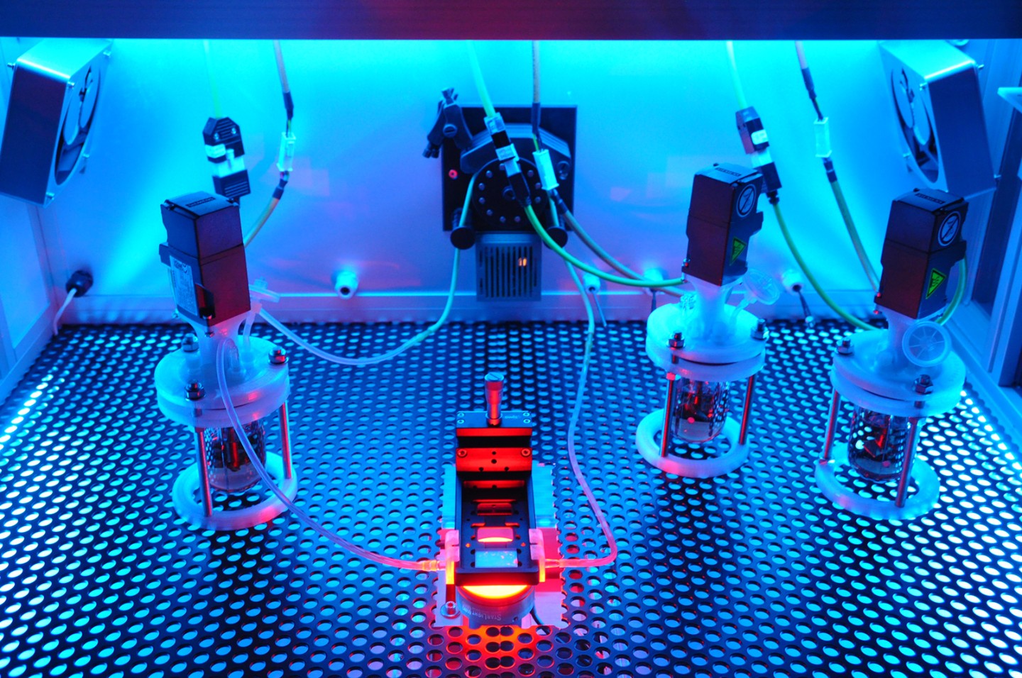 幹細胞の長期培養を可能にする自動化バイオリアクター(Bioreactor allows automated long-term culturing of stem cells)