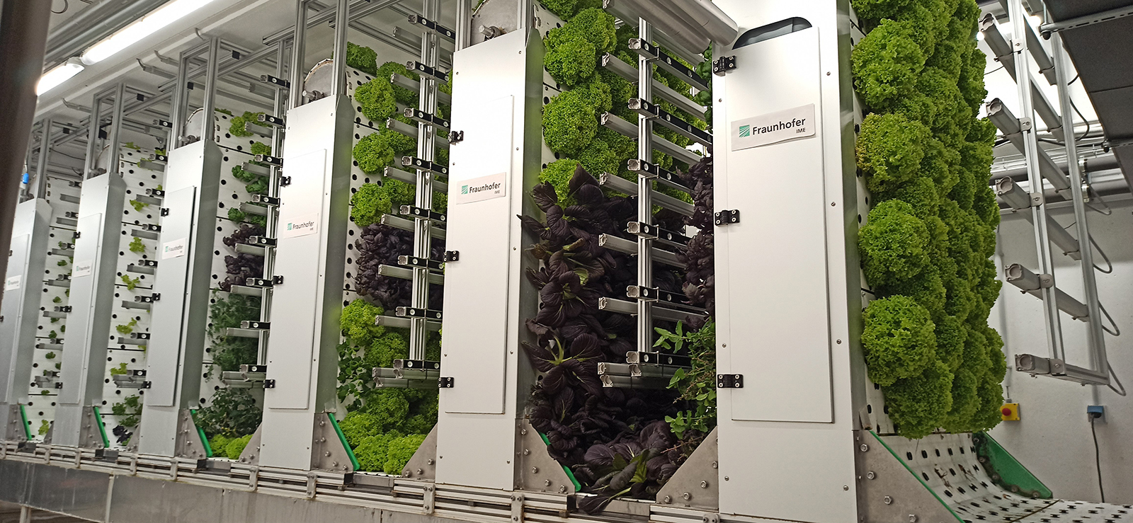 代替タンパク質を用いた持続可能な栄養技術（Nutrition of the Future）