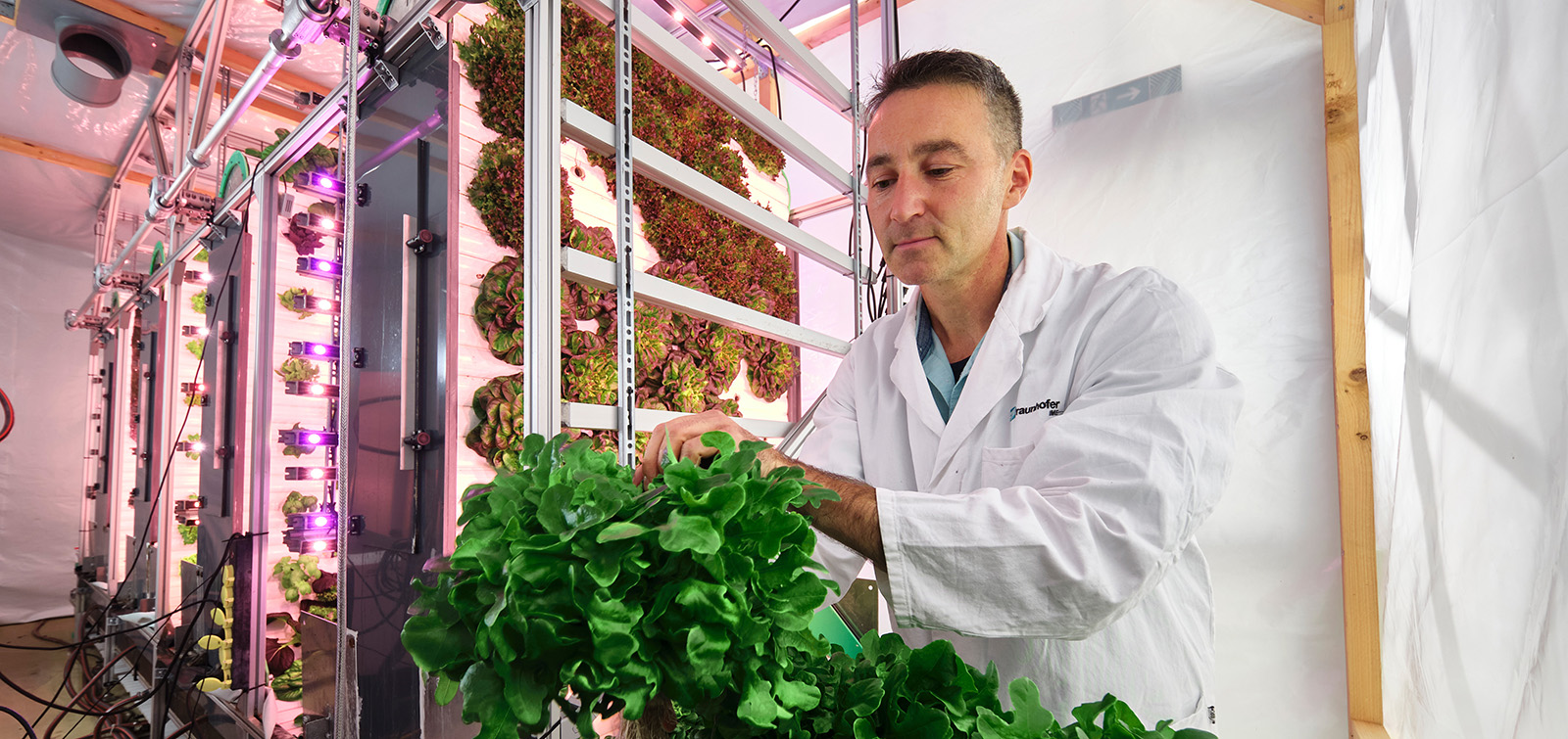 Das hoch flexible Vertical Farming-System OrbiPlant® kann Pflanzen unterschiedlicher Art kontinuierlich sowie völlig unabhängig von Wetter, Tages- und Jahreszeit bereitstellen.