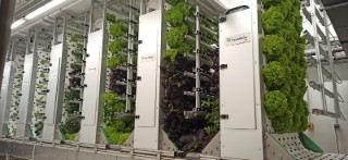 Die förderbandbasierte OrbiPlant® Technologie ermöglicht eine platzsparende Anbauweise.