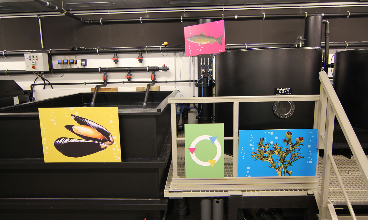 Aquaculture facility at Fraunhofer EMB.